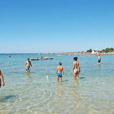 Mobile Homes In Zaton Holiday Resort, With Large Pool Area Zaton (Zadar)